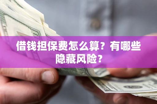 武汉借钱担保费怎么算？有哪些隐藏风险？