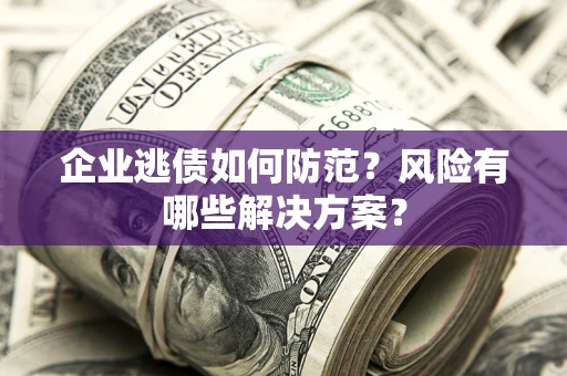 武汉企业逃债如何防范？风险有哪些解决方案？