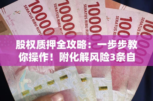 武汉股权质押全攻略：一步步教你操作！附化解风险3条自救法则