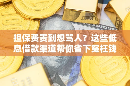 武汉担保费贵到想骂人？这些低息借款渠道帮你省下冤枉钱