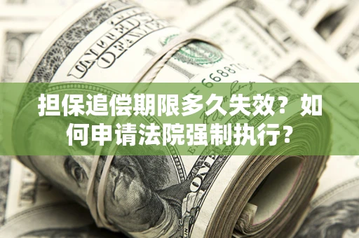 武汉担保追偿期限多久失效？如何申请法院强制执行？