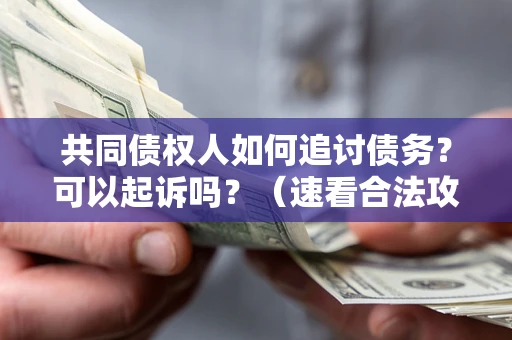 武汉共同债权人如何追讨债务？可以起诉吗？（速看合法攻略）