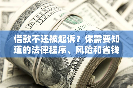 武汉借款不还被起诉？你需要知道的法律程序、风险和省钱技巧